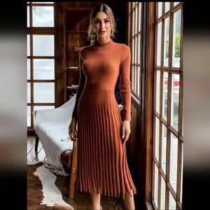 Miss Ord | NWT Accordion Pleat Long Sleeve Midi Dress